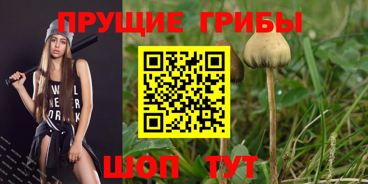 Дивногорск  Галлюциногенные грибы Magic Shrooms  Вход с VPN 