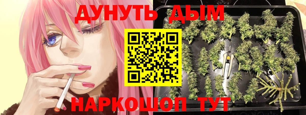 Дивногорск  Шишки марихуана конопля  Бошки марихуана планчик  Вход с VPN  Конопля марихуана  Бошки Шишки сатива 